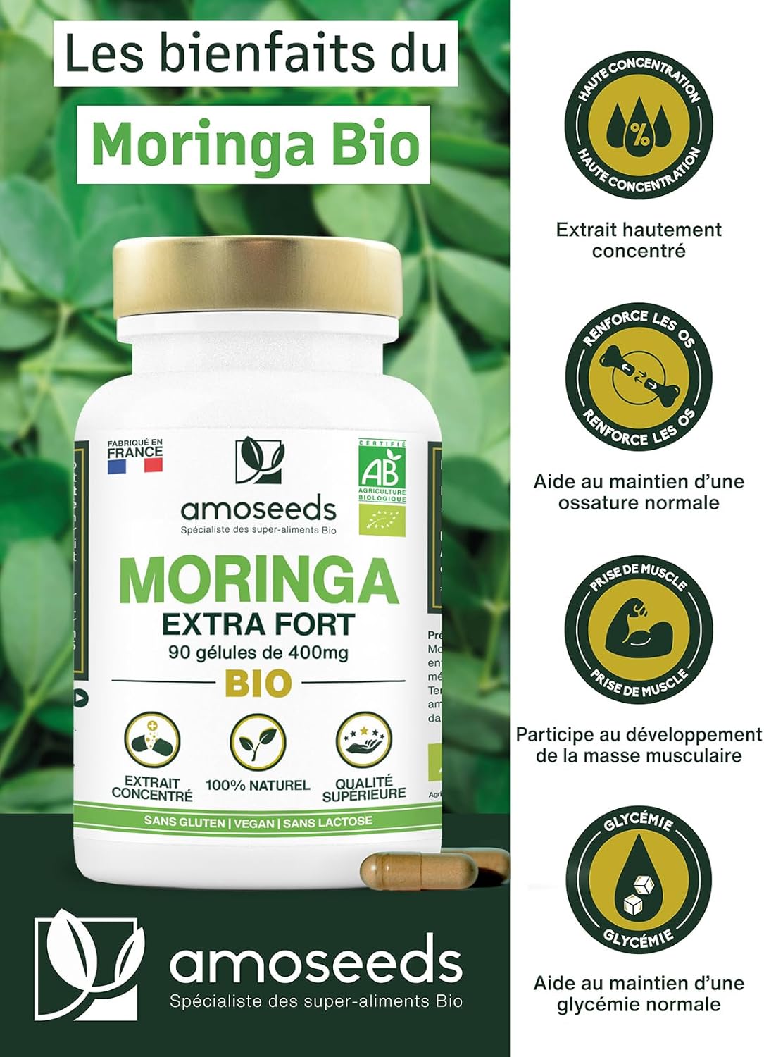 Moringa